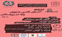کارگاه احیای قلبی و ریوی پایه در بزرگسالان