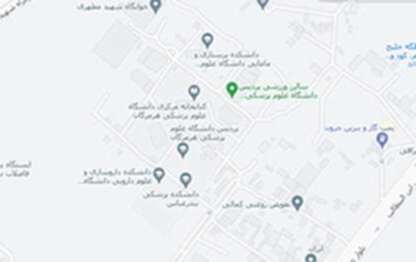 google map image